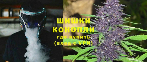метадон Богданович