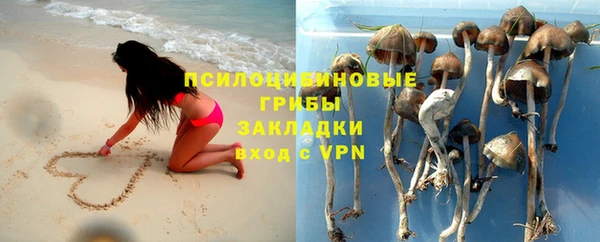 стафф Богородицк