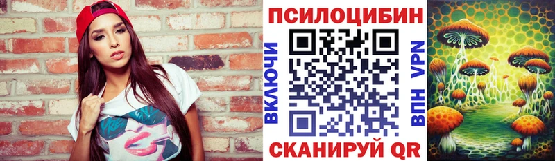 продажа наркотиков  Котовск  Галлюциногенные грибы мухоморы 